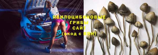 первитин Белоозёрский