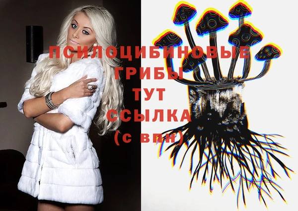 не бодяженный Белокуриха