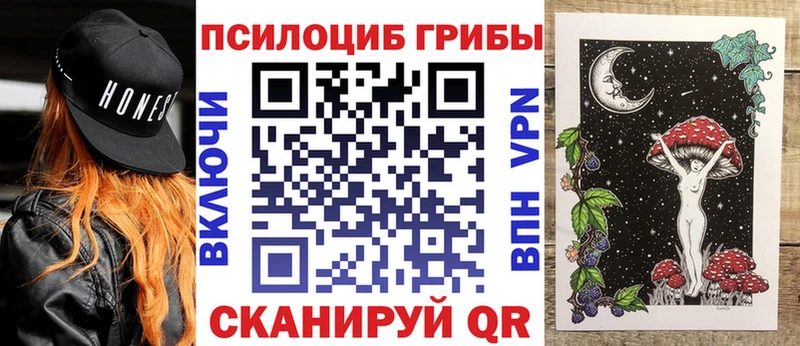 Галлюциногенные грибы MAGIC MUSHROOMS  закладки  Высоковск 
